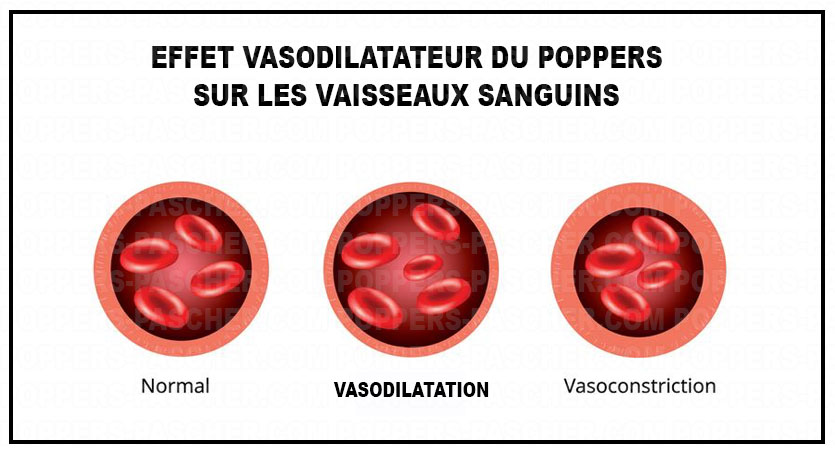 vasodilatation du poppers