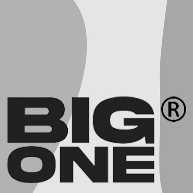 big one logo
