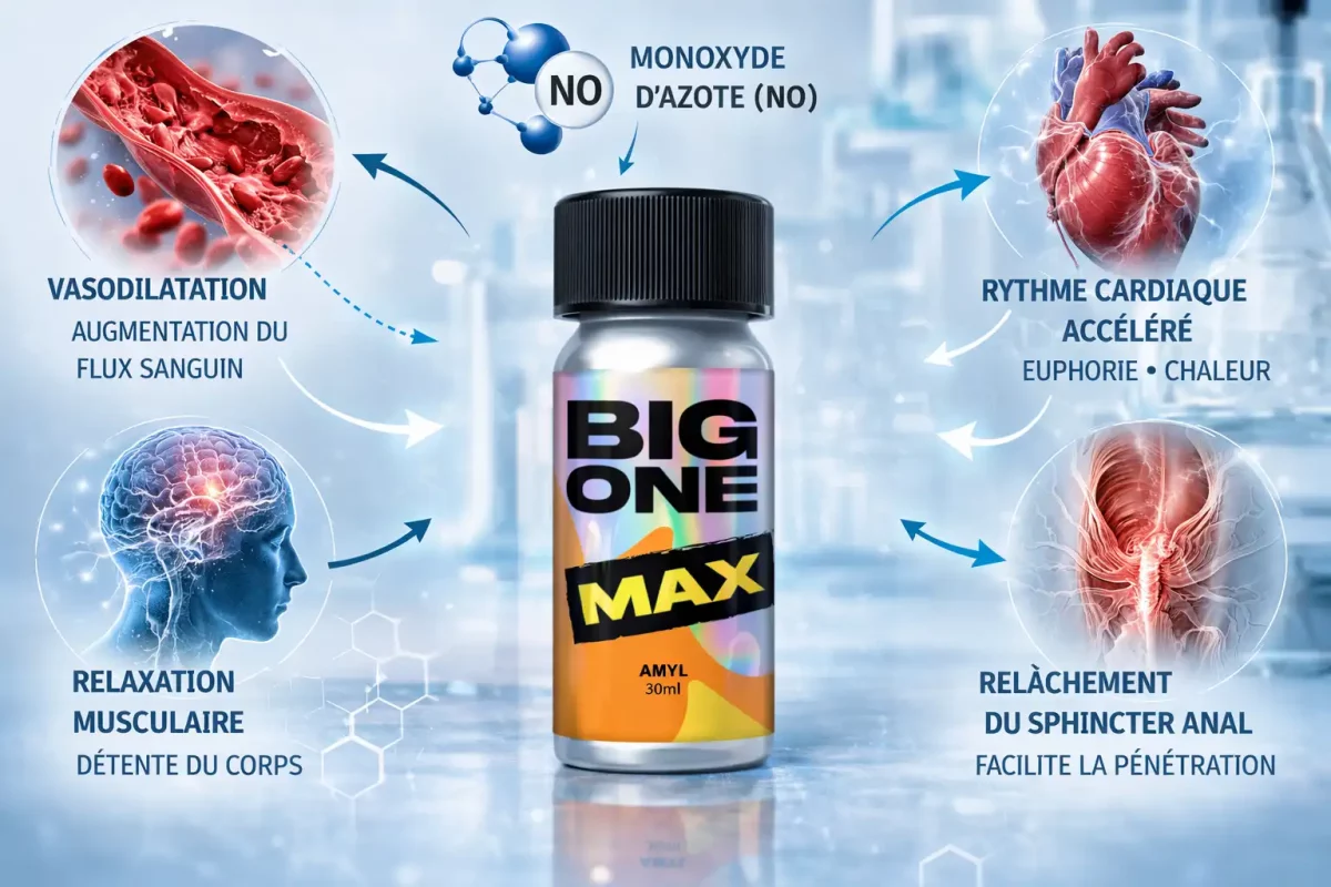 Flacon de poppers Big One Max amyl montrant les effets de vasodilatation et de relaxation musculaire pouvant faciliter la pénétration anale